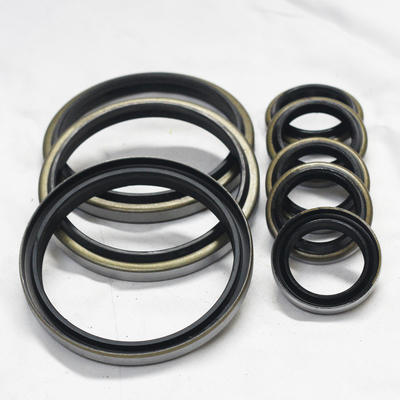 DKB Rubber Rotary Hydraulic Cylinder Oil Seal Σφραγίδα σκούπισης σκόνης Σφραγίδα με μεταλλική συσκευασία