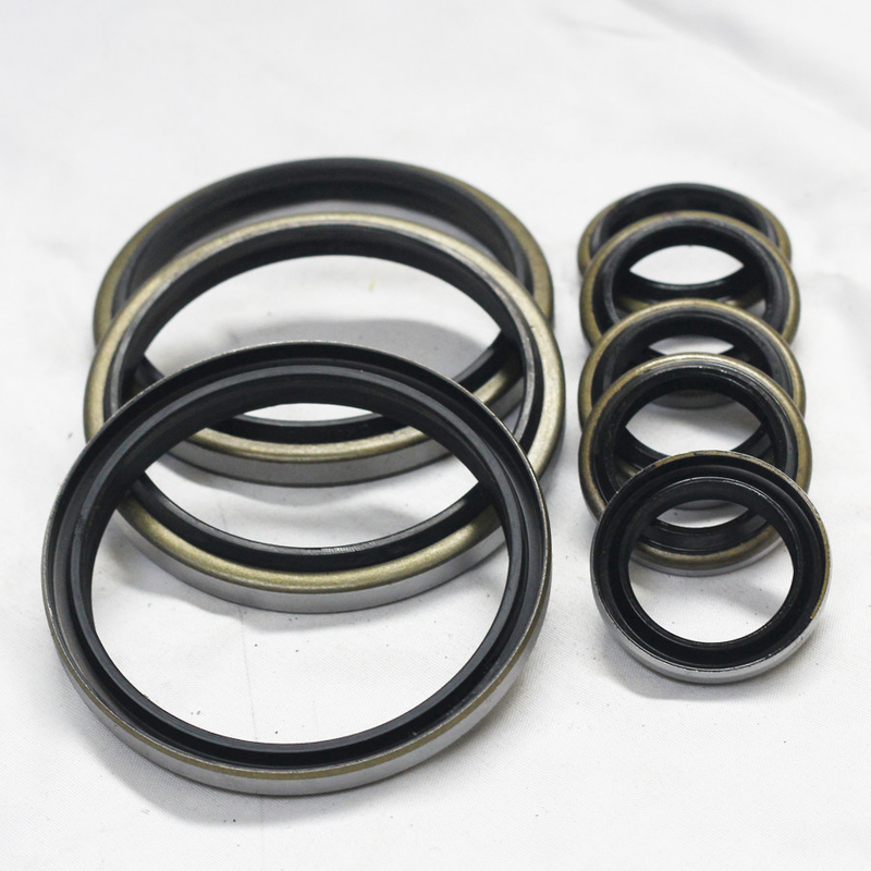 DKB Rubber Rotary Hydraulic Cylinder Oil Seal Σφραγίδα σκούπισης σκόνης Σφραγίδα με μεταλλική συσκευασία